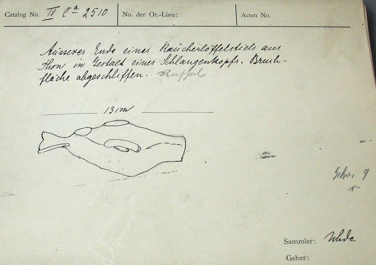 Schlangenkopf