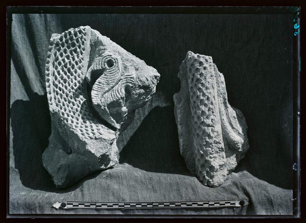 al-Dschausaq al-Chaqani, Bab al-ʿAmma, Stuckfries vom Rand der Tonne (Ornament Nr. 251)