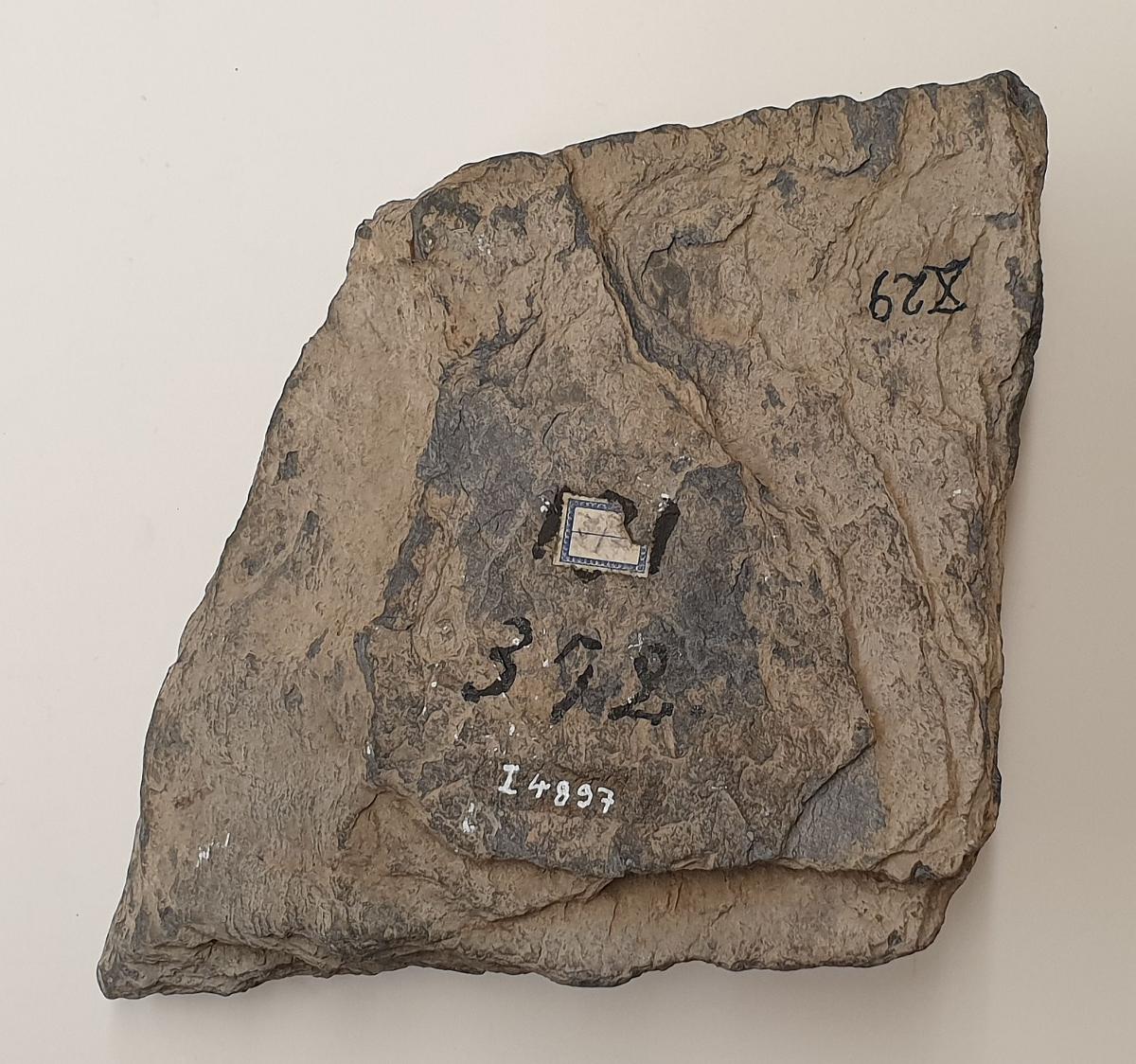 Gewandzipfel eines sitzenden Buddha (Fragment). Sockelrelief: Verehrung des sitzenden zukünftigen Buddha Maitreya