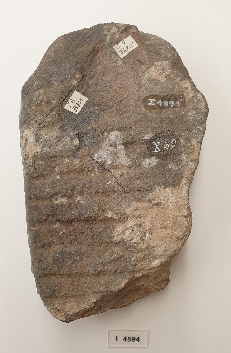 Torso eines stehenden Buddha in Schutzgeste (abhaya-mudra)