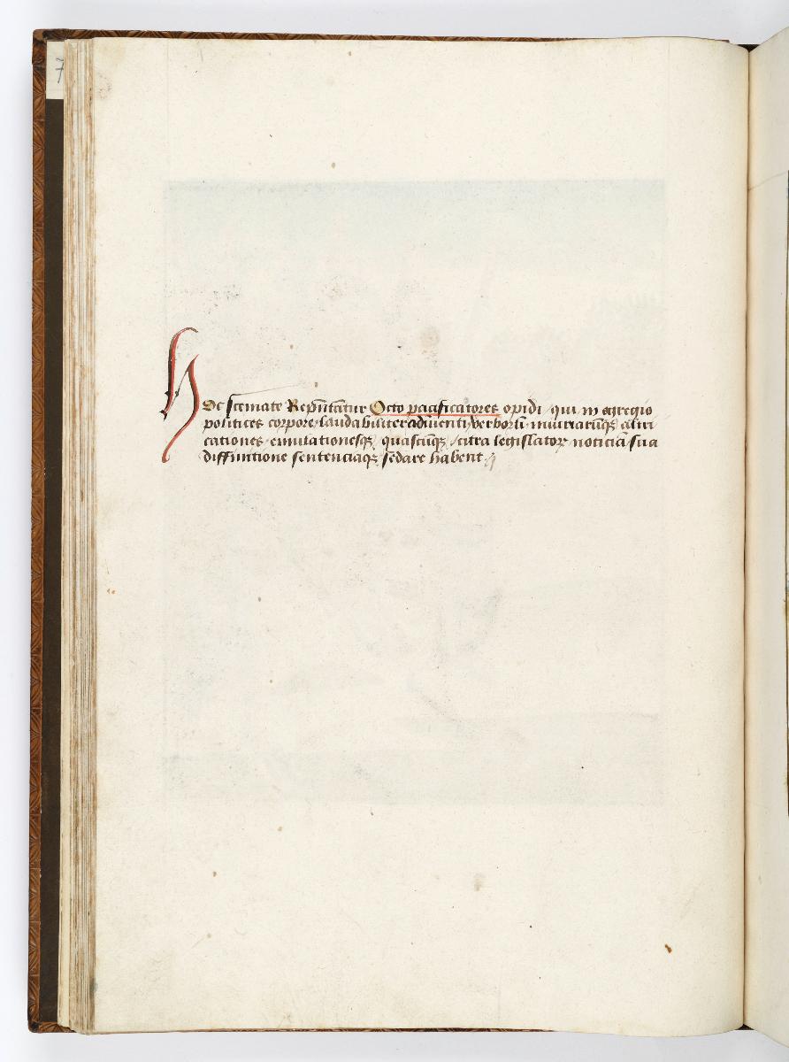 Einzug der Johanna von Kastilien in Brüssel am 9. Dezember 1496: Kommentar zu Acht rotgekleidete "Pacificatores" zu Pferd