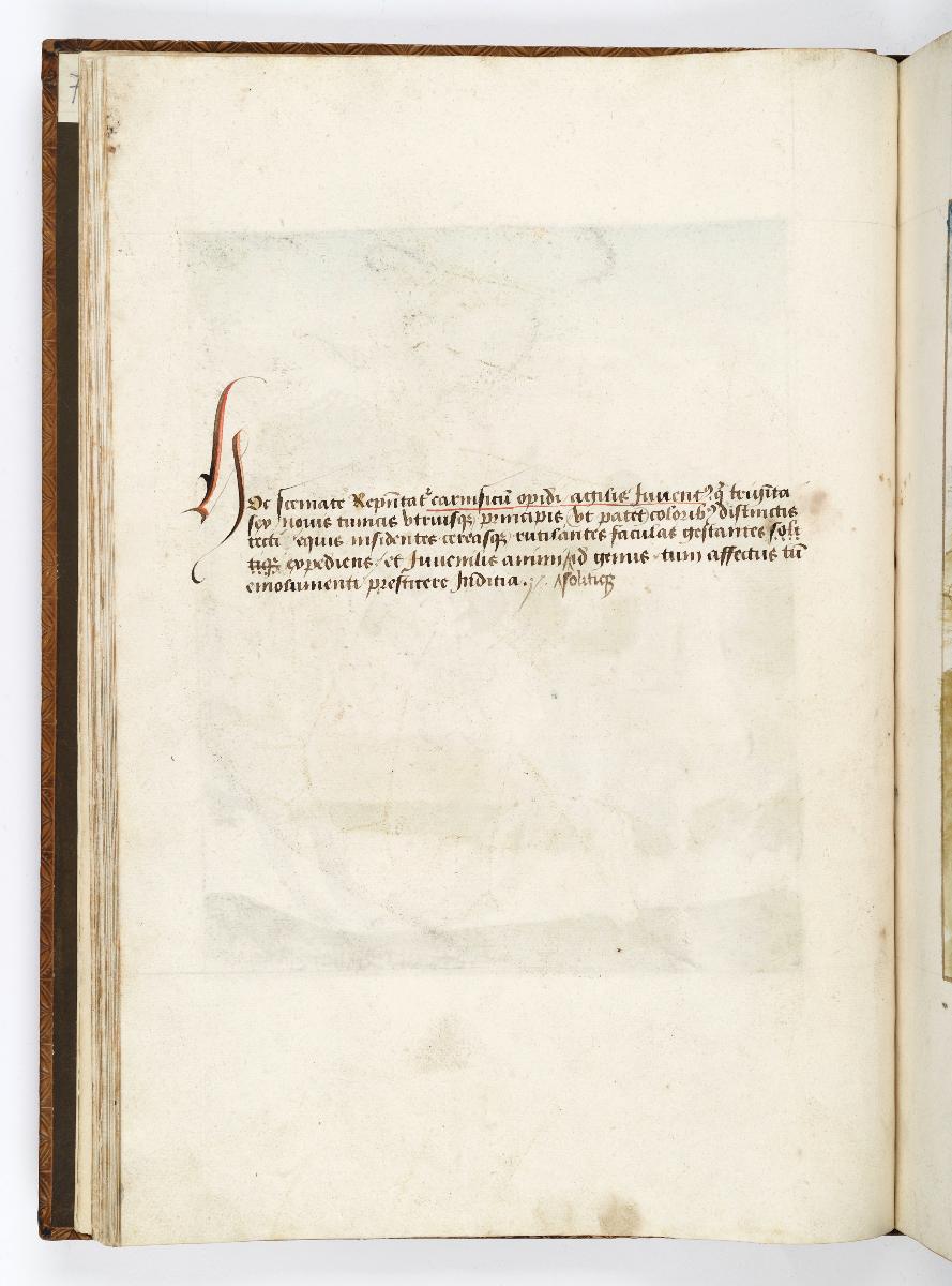 Einzug der Johanna von Kastilien in Brüssel am 9. Dezember 1496: Kommentar zu Fackelschwingende Edelleute zu Pferd