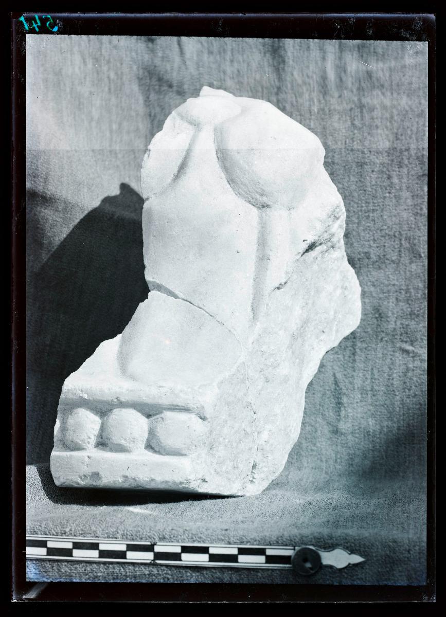 Marmor, Gips und Holz: Marmorfragment (Ornament Nr. 32)