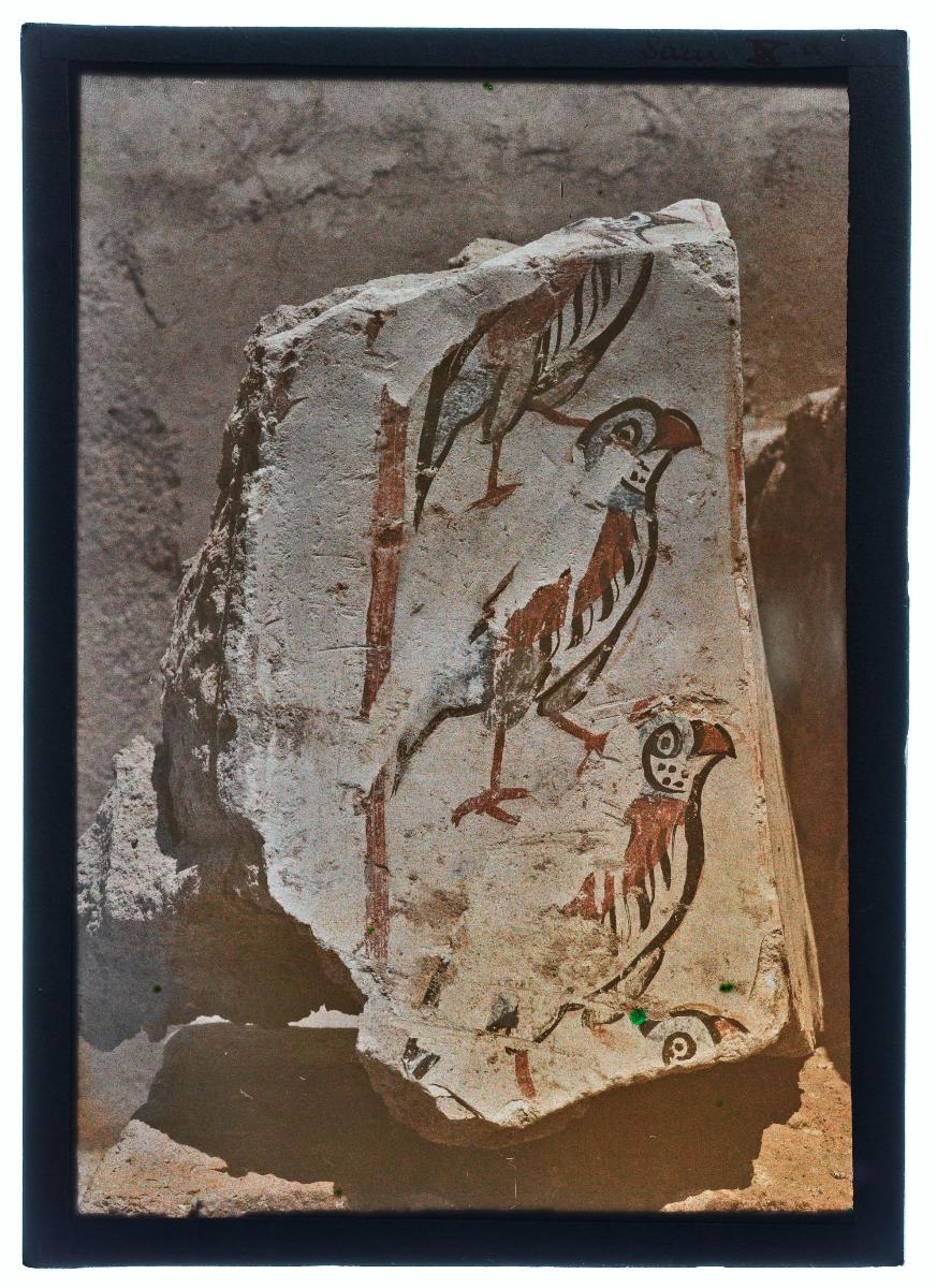 Malereien: al-Dschausaq al-Chaqani, Harem, Vogelfries