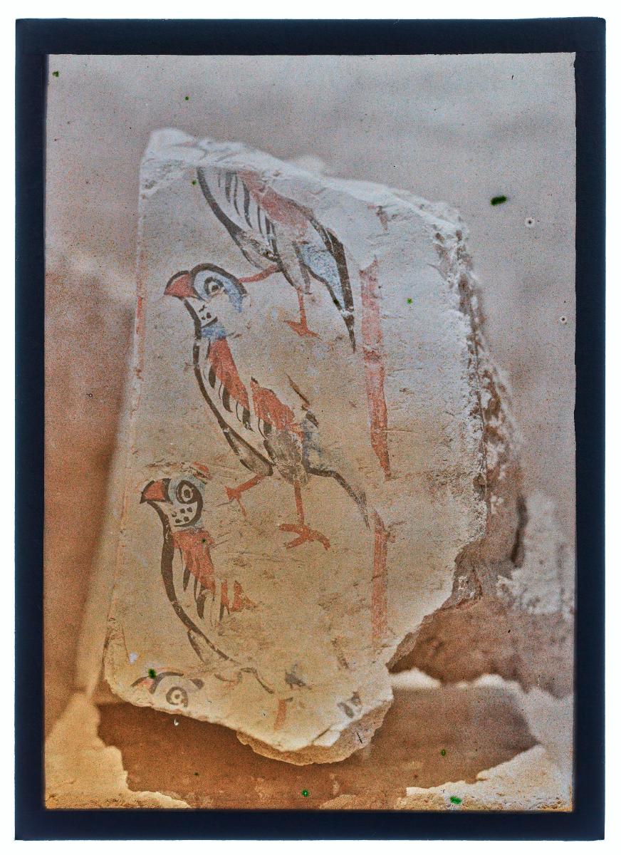 Malereien: al-Dschausaq al-Chaqani, Harem, Vogelfries