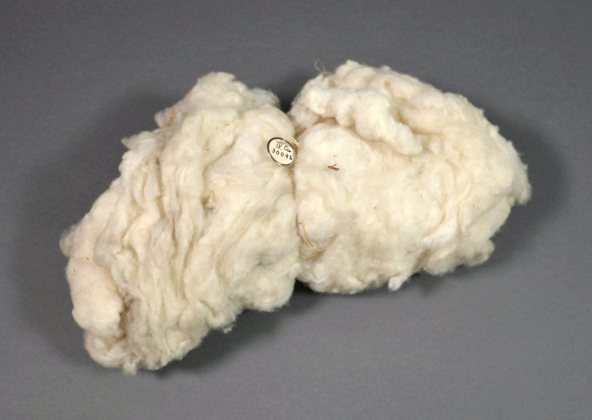 IV Ca 30092