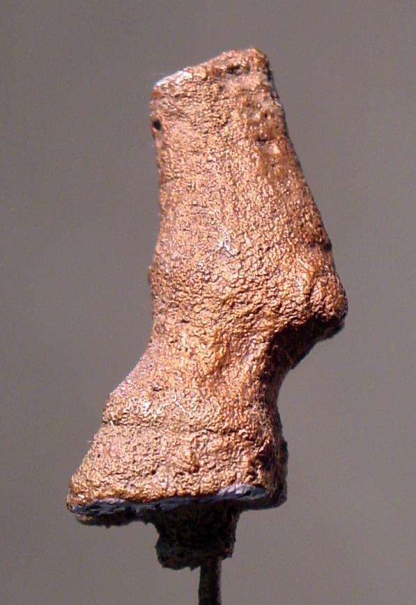 Stierhuf