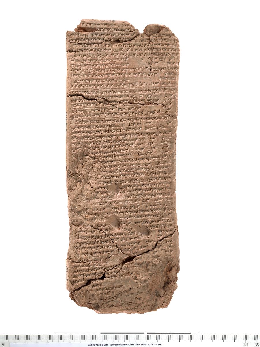 Medizinischer Text