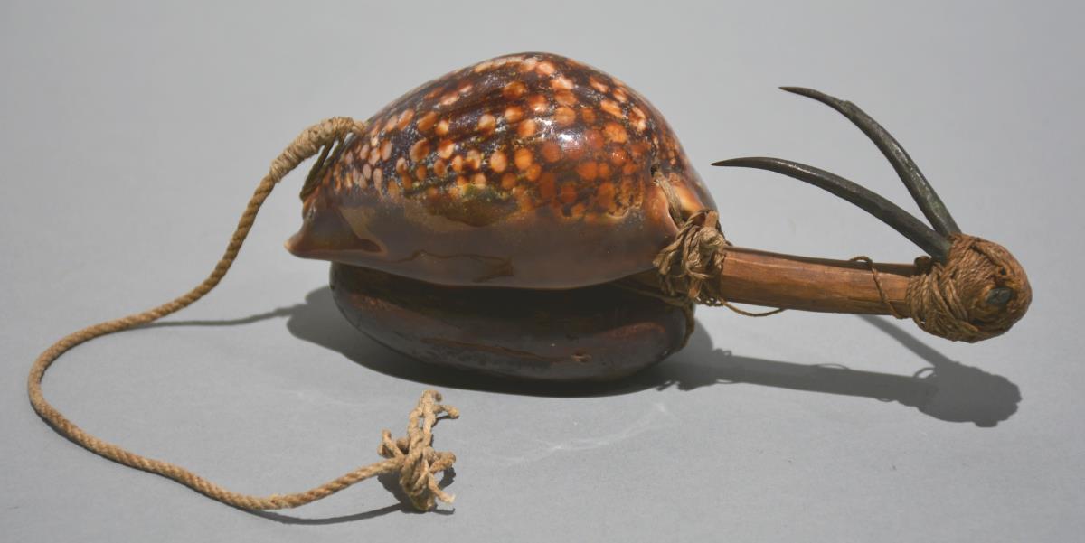 makau luhe'e, leho  he'e