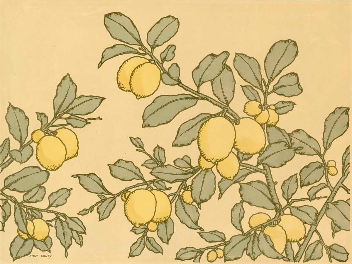 Blatt mit vegetabilem Dekor, Zitronen