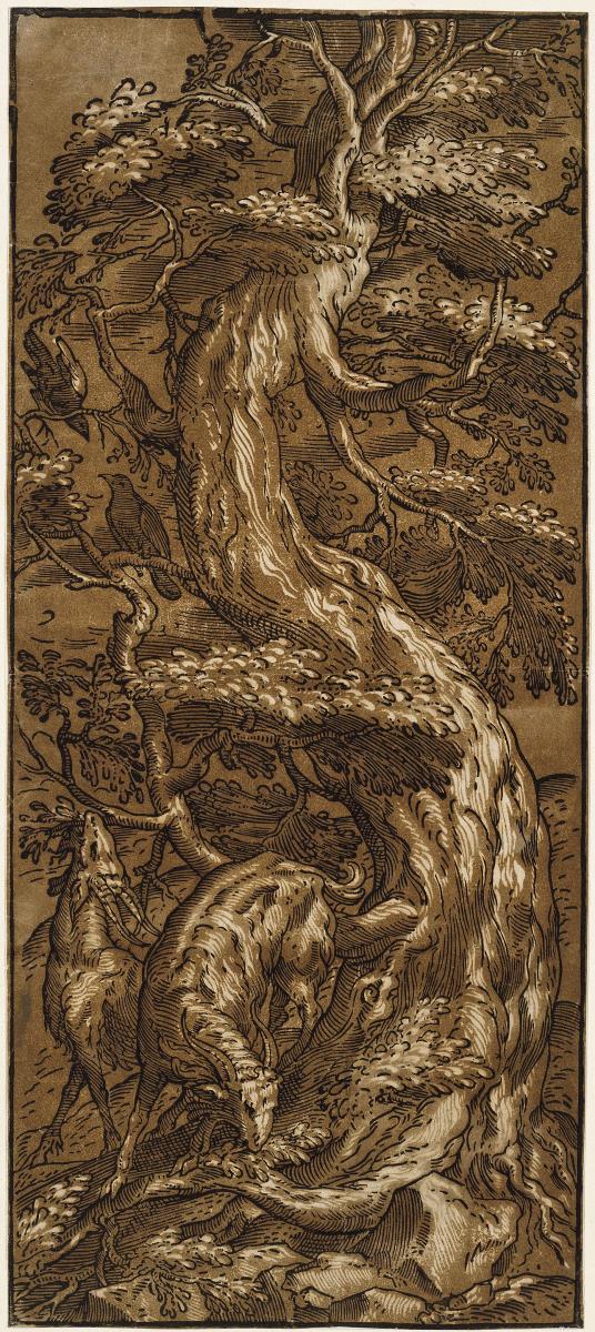 Der Baum mit den Ziegen