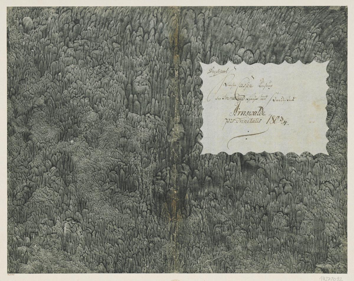 Geädertes Kleisterpapier (Einband für eine Akte mit Etikett, 1803/1804)