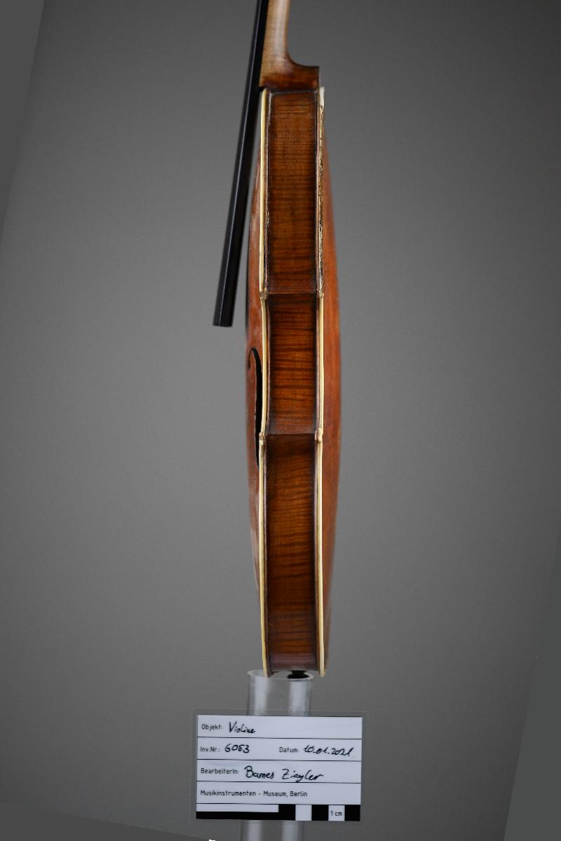 Violine