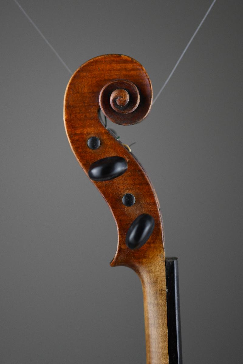 Violine