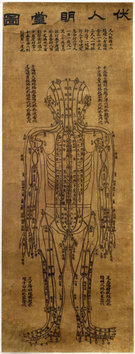"Akupunkturtafel": 伏人明堂圖