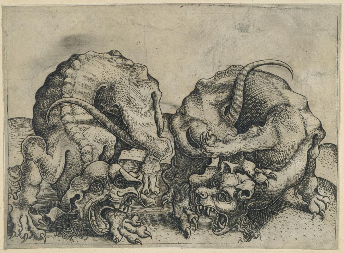 Zwei Drachen
