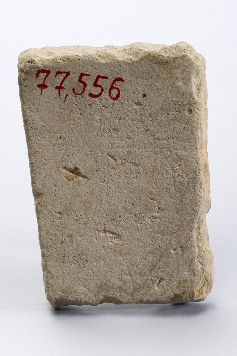 1877,556.3