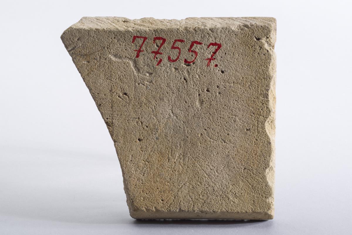 1877,557.4
