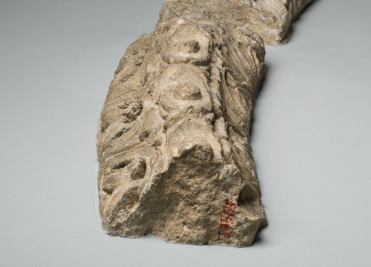 I. 7565