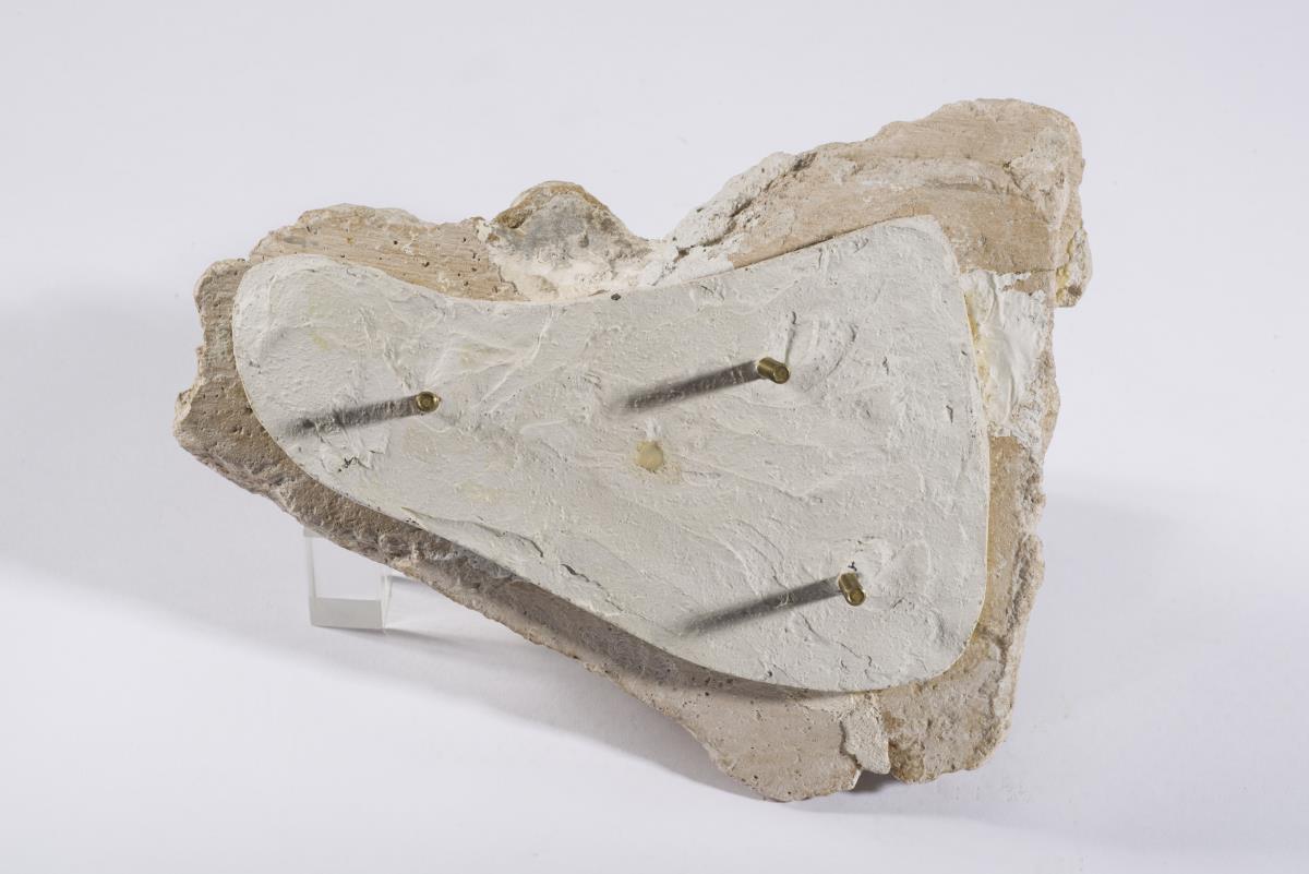 Sam I. 342