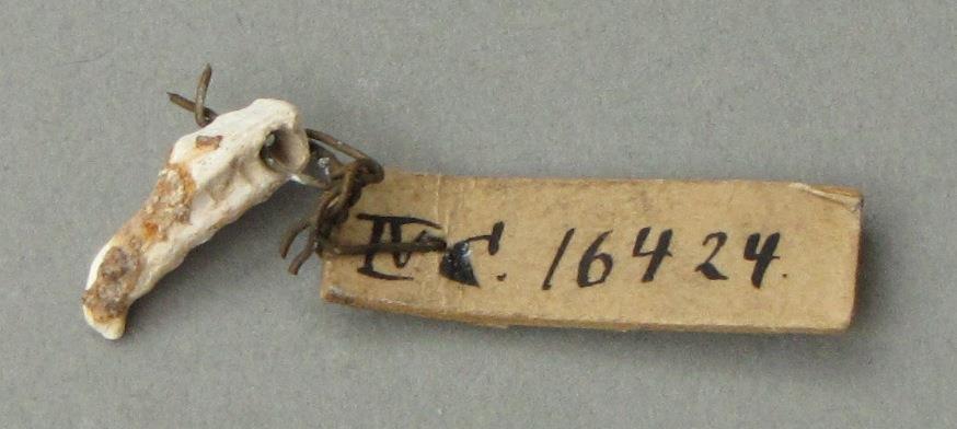 IV Ca 16424