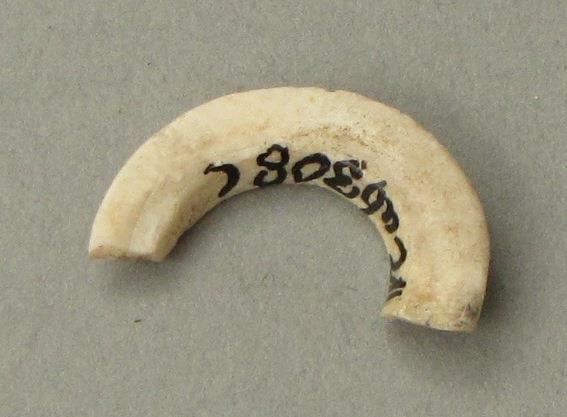 IV Ca 6308 c <2>