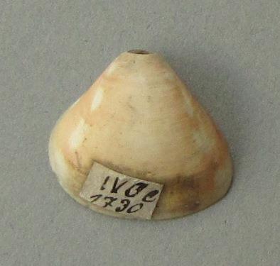 IV Ca 1730 c
