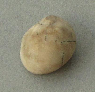 IV Ca 1730 f