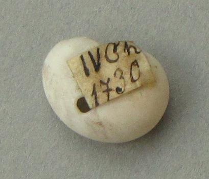 IV Ca 1730 h