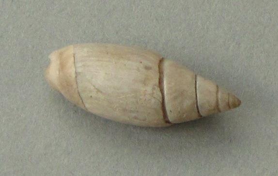 IV Ca 1730 z
