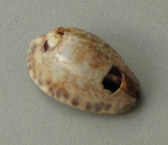 IV Ca 1737