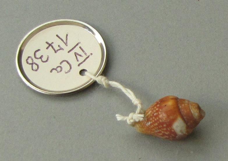 IV Ca 1738