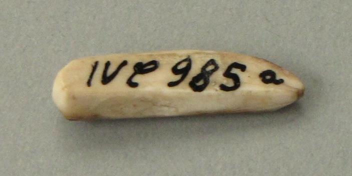 IV Ca 985 a