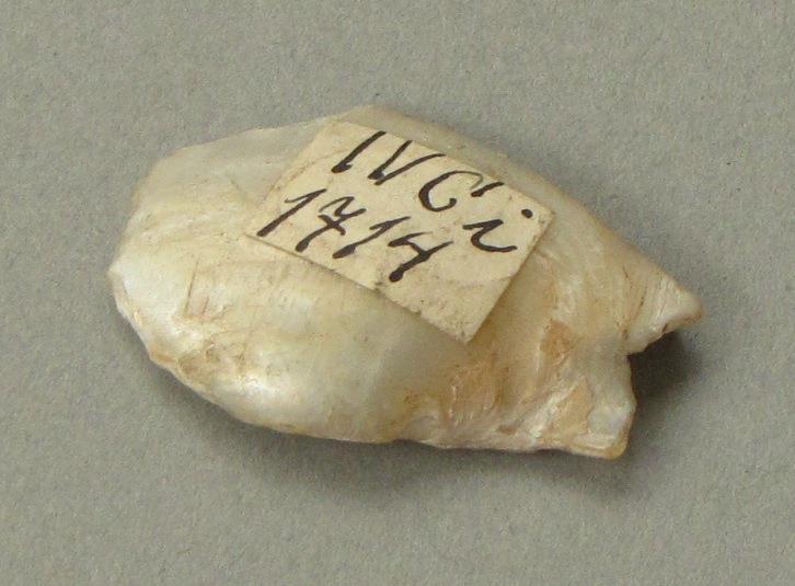 IV Ca 1714 i