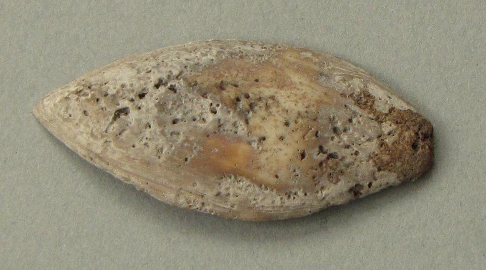 IV Ca 1723 b
