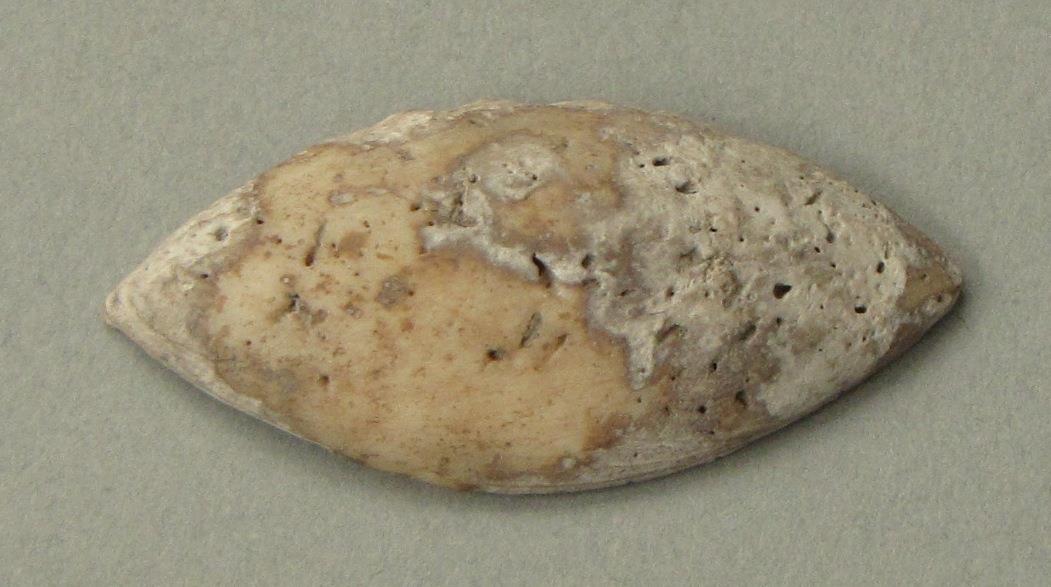 IV Ca 1723 c