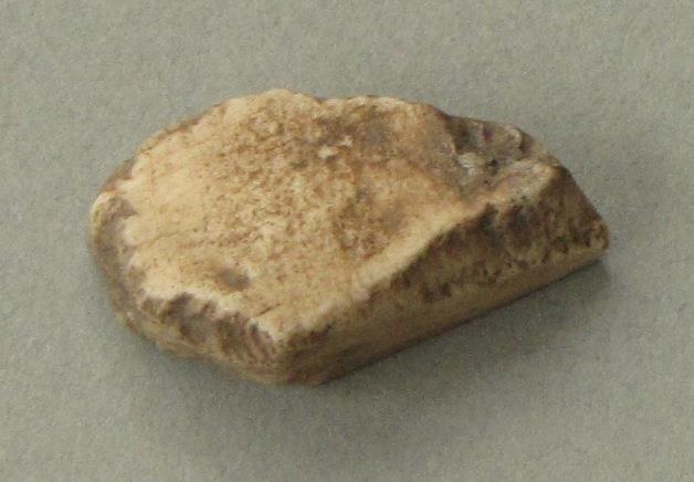 IV Ca 1723 d