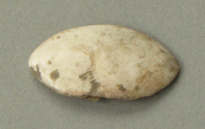 IV Ca 1723 e