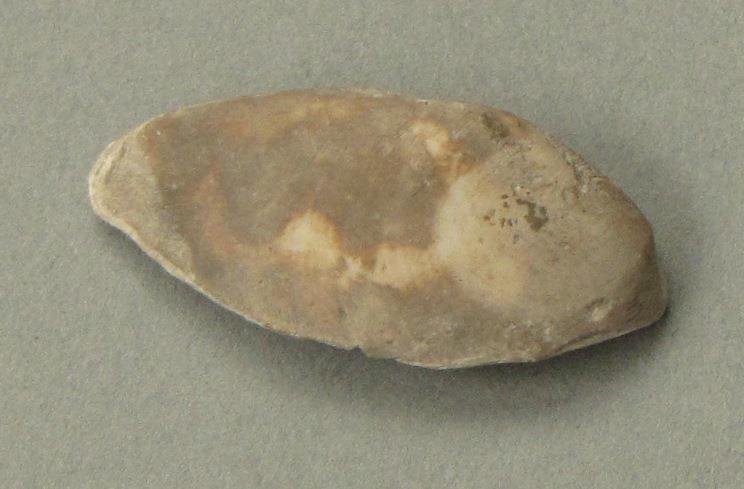 IV Ca 1723 g