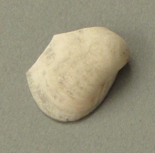 IV Ca 1724 p <2>