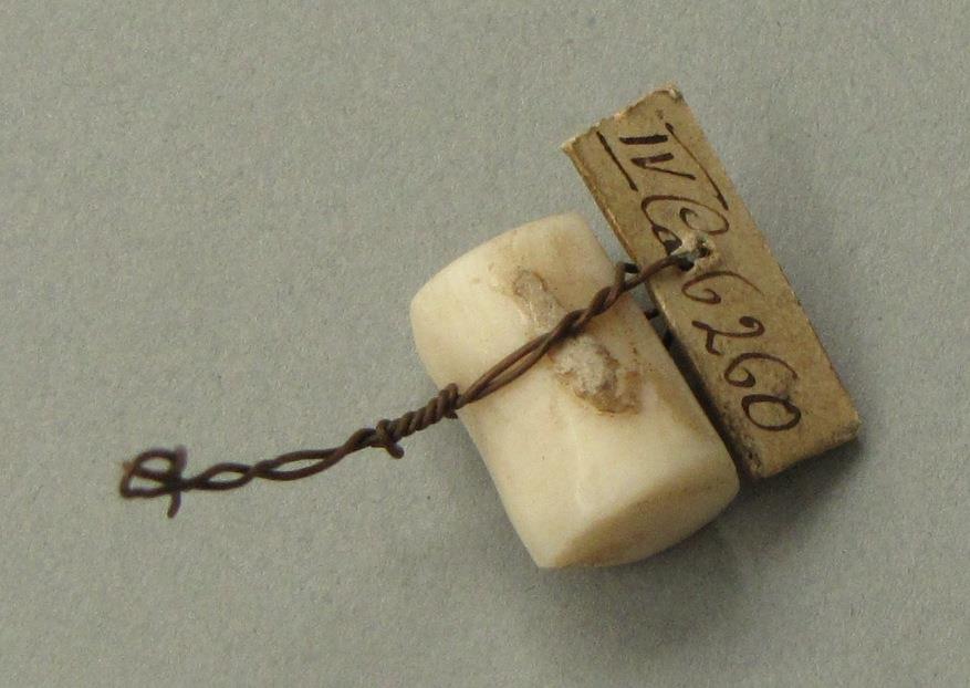 IV Ca 6260