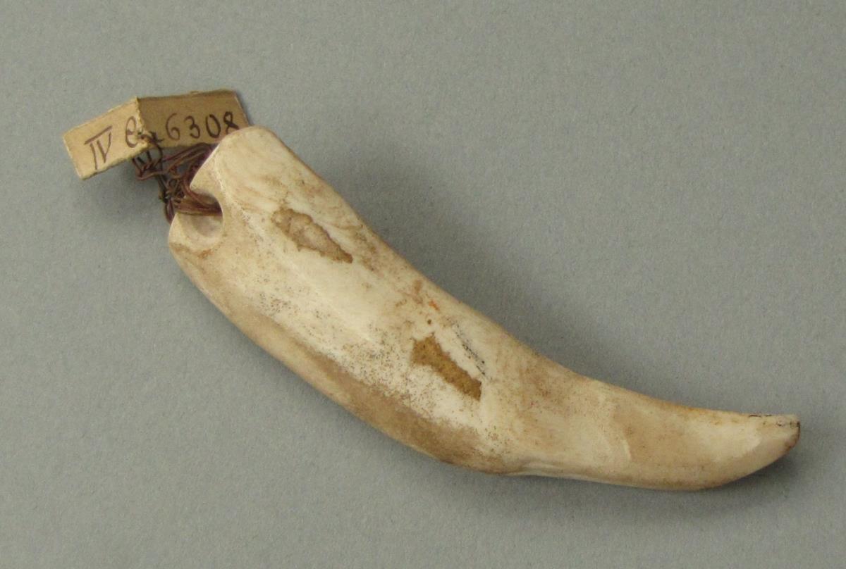 IV Ca 6308 b <1>