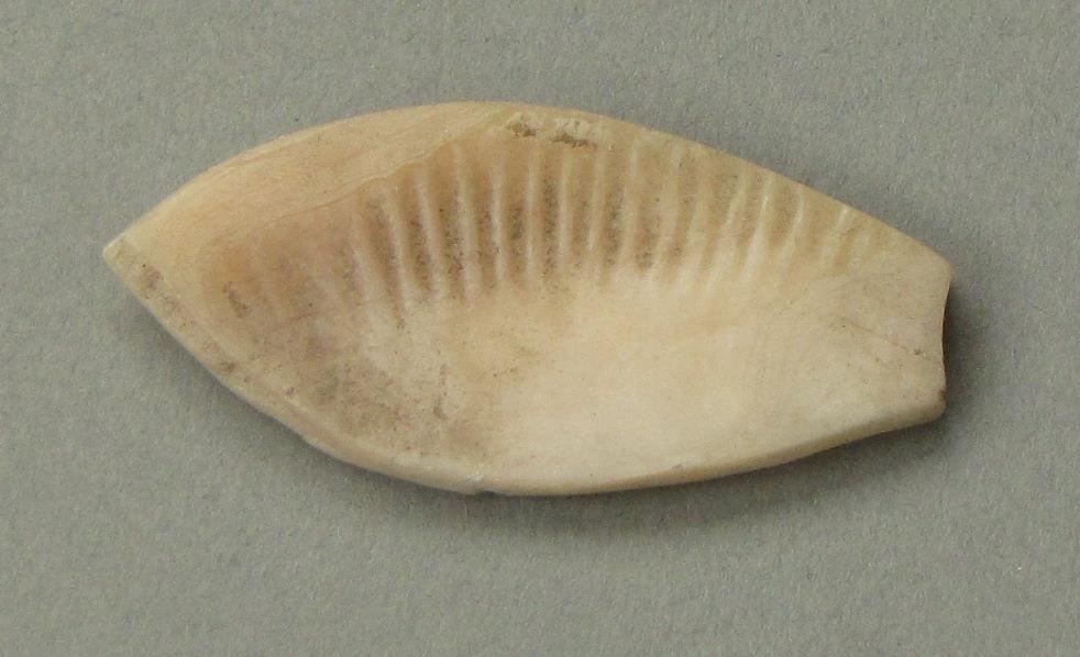IV Ca 6317
