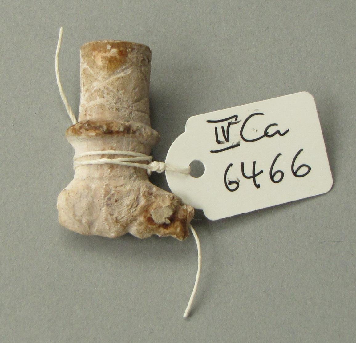 IV Ca 6466