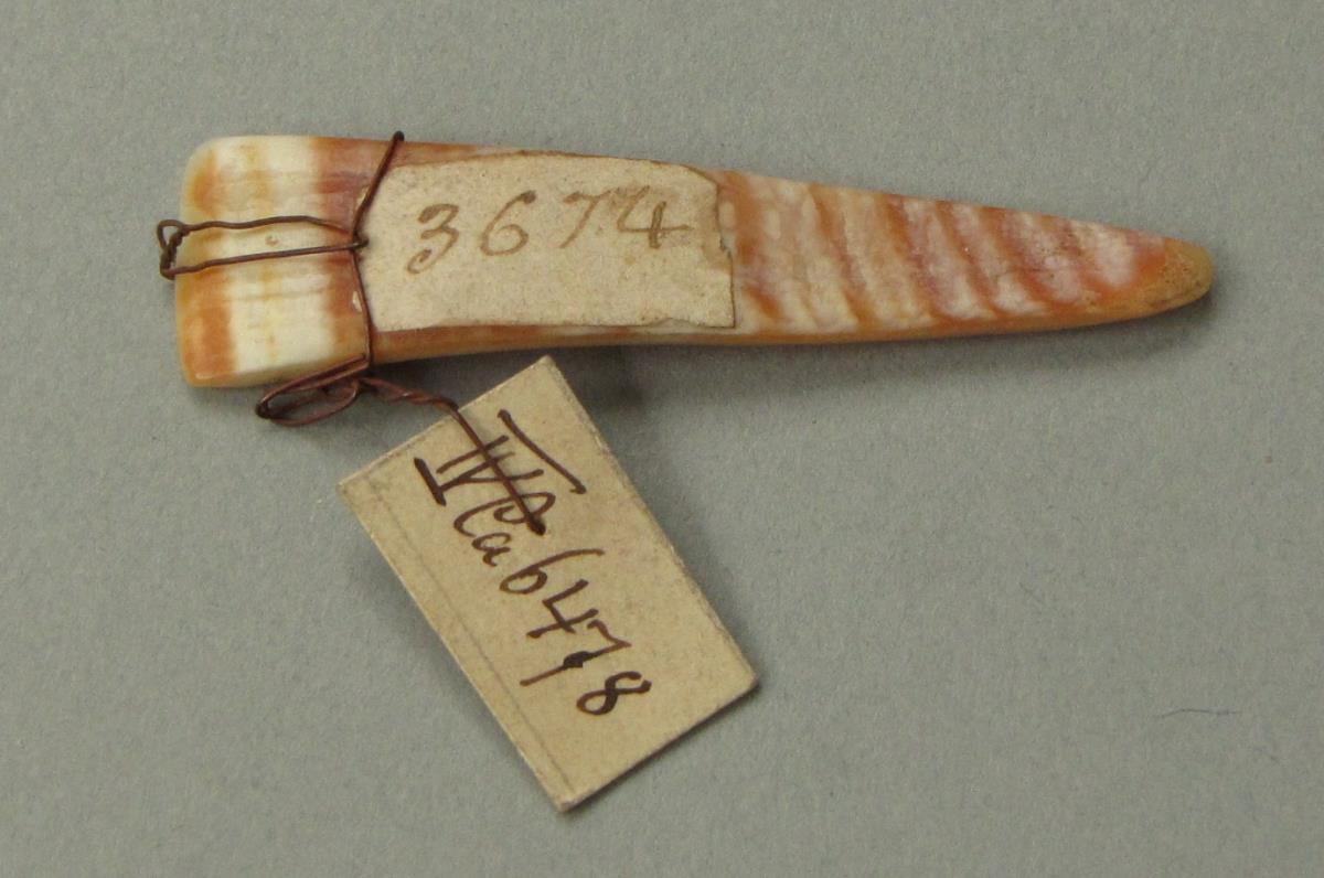 IV Ca 6478