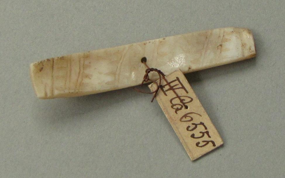 IV Ca 6555