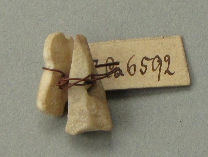 IV Ca 6592