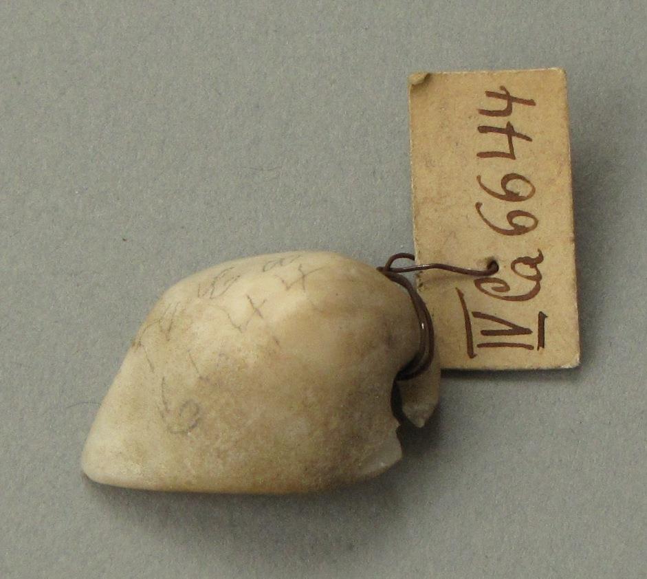 IV Ca 6644