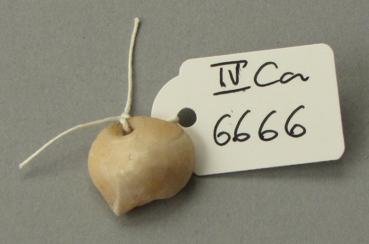 IV Ca 6666