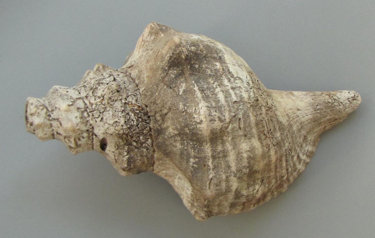 IV Ca 20916